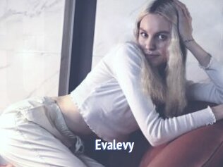 Evalevy