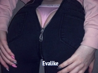 Evalike
