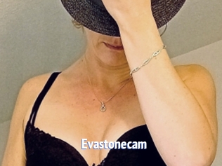 Evastonecam