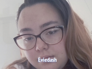 Eviedash