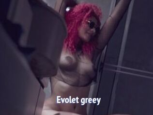 Evolet_greey