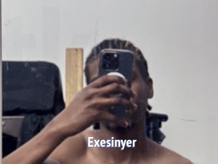 Exesinyer