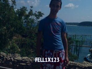 FELL1X123