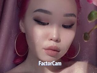 FactorCam