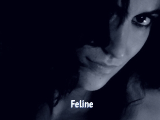Feline Telefon Kontakte