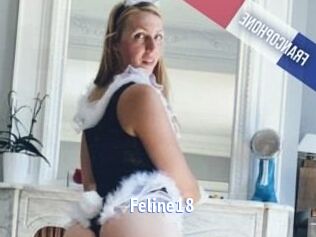 Feline18