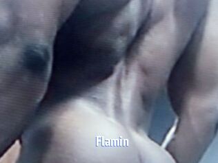 Flamin
