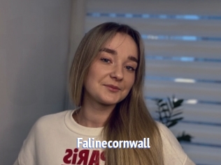 Falinecornwall