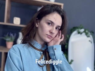 Felicediggle