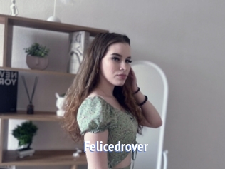 Felicedrover