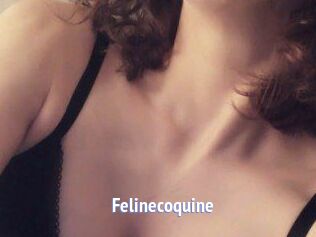 Felinecoquine