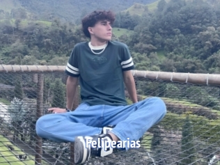 felipearias Telefon Kontakte