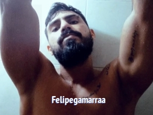 Felipegamarraa