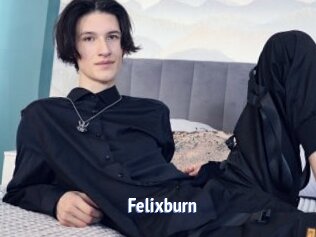 Felixburn