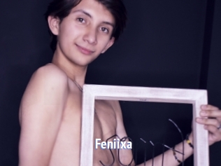feniixa Telefon Kontakte