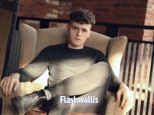 Flashwallis