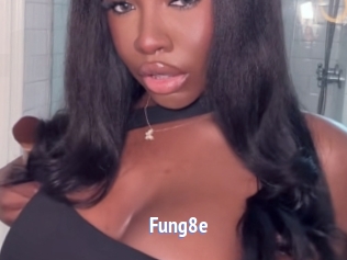 Fung8e