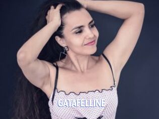 GATAFELLINE