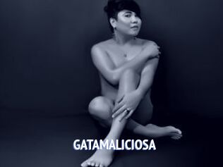 GATAMALICIOSA