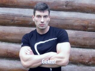 Gektor