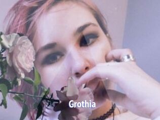Grothia