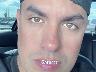 Gatoccc