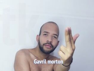 Gavril_morton