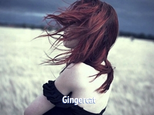 Gingercat