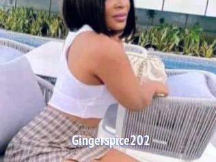 Gingerspice202