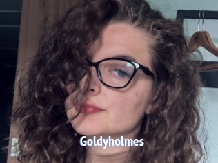 Goldyholmes
