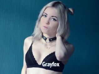Grayfox