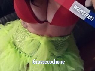 Grossecochone