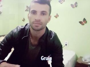 Gruia