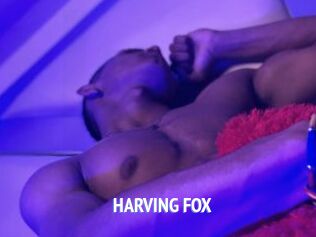 HARVING_FOX