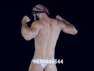 HEVAN12344