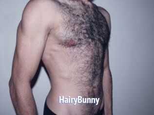 HairyBunny
