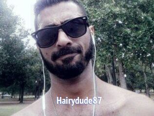 Hairydude87