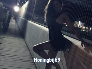 Honingbij69