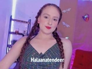 Halaanatendeer