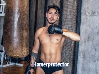 Hamerprotector