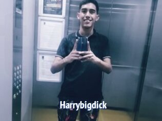 Harrybigdick