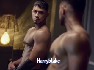 Harryblake