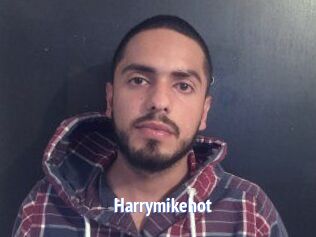 Harrymikehot