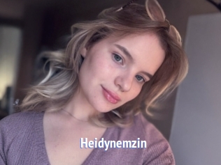 Heidynemzin