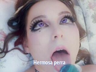 Hermosa_perra