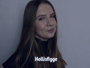 Hollisfigge