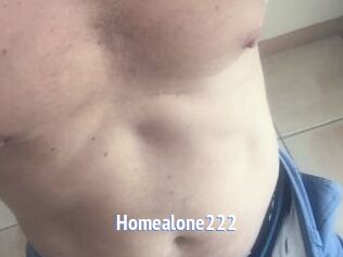 Homealone222