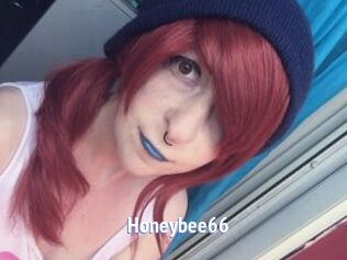 Honeybee66
