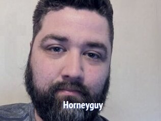 Horneyguy