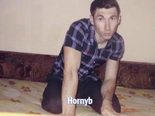 Hornyb